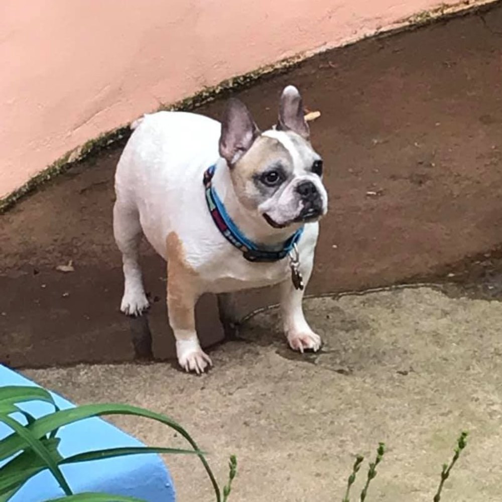 Meet your Posher, Jonel